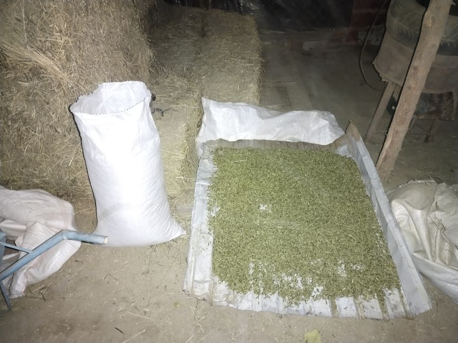 Гранулятор гранулятор