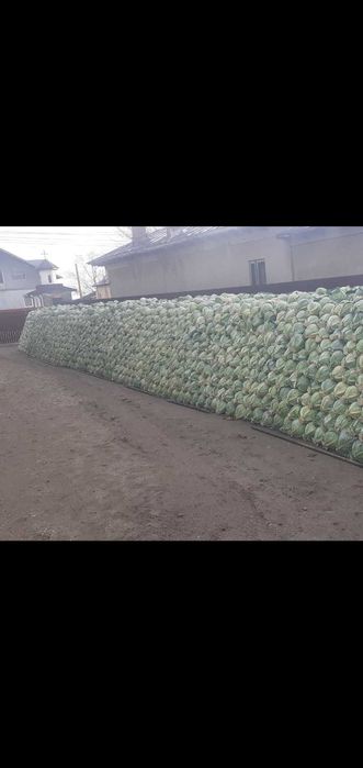 Vand varza de depozitare