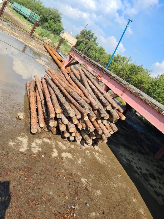 Продам брёвна, АКЦИЯ 2+1