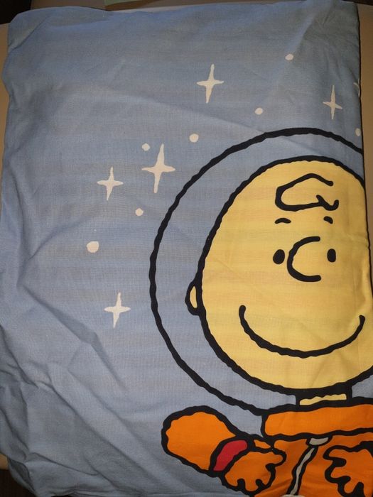 Set față de pernă 42x60+2 huse pilotă 120×60