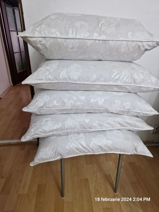 Perne NOI pene de gaina, pene de gasca,fete de perna