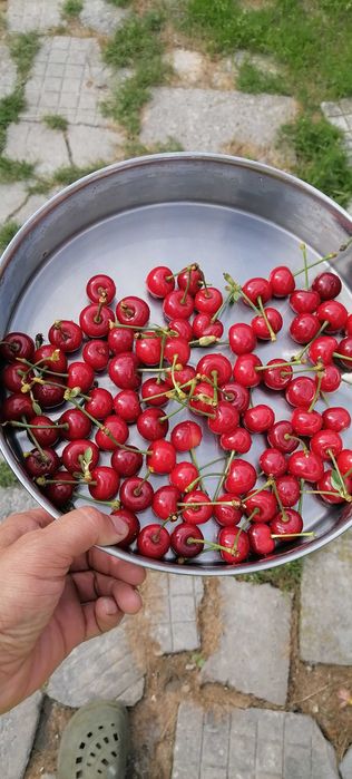 Продавам вишнап за компоти