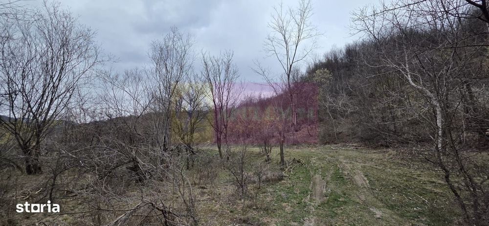 Teren de vanzare in Brebu - Raul Doftana