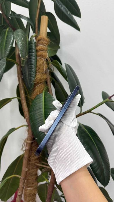 iPhone 15 Pro Max 256Gb АКБ-97%