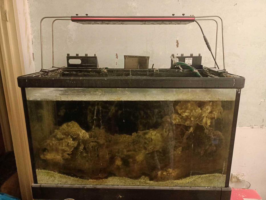 Vand acvariu marin RED SEA MAX C-250