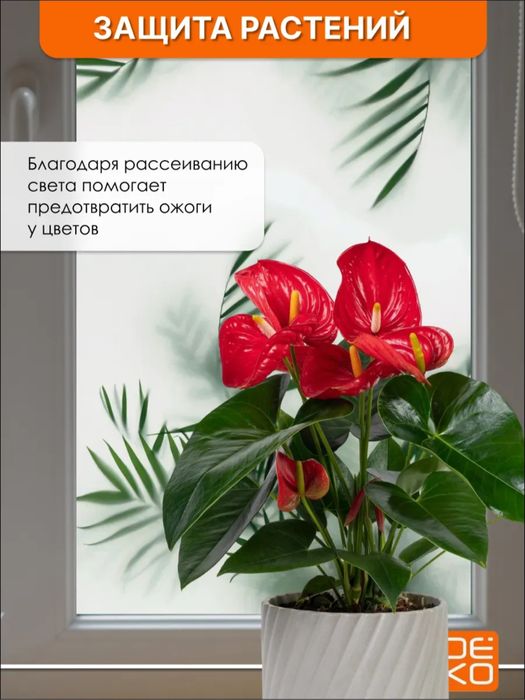 Самоклеющаяся плёнка на окно