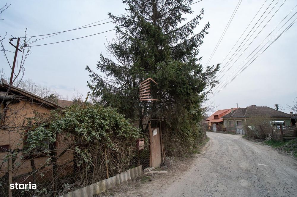 Teren intravilan de 900 mp, Podgoria