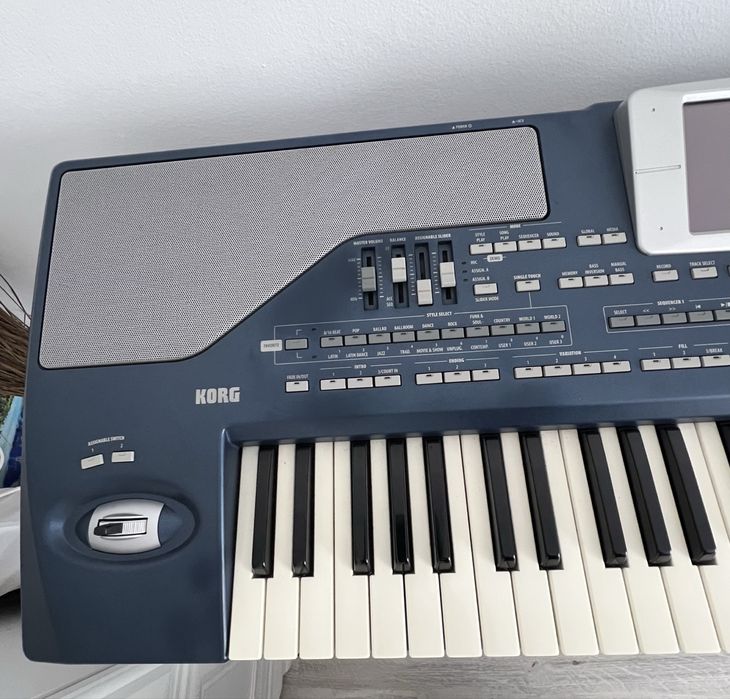 Korg PA 800 professional  arranger
