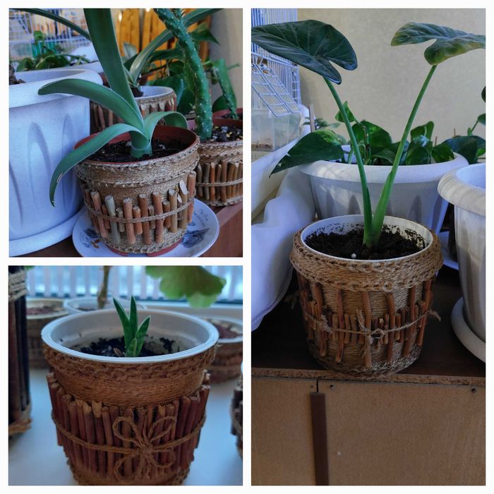 Цветочные горшочки