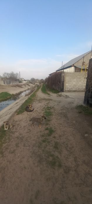 Отдельный дом (талгарские дачи) актас