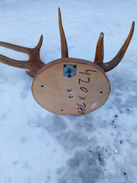 Продам на стену рыбалка