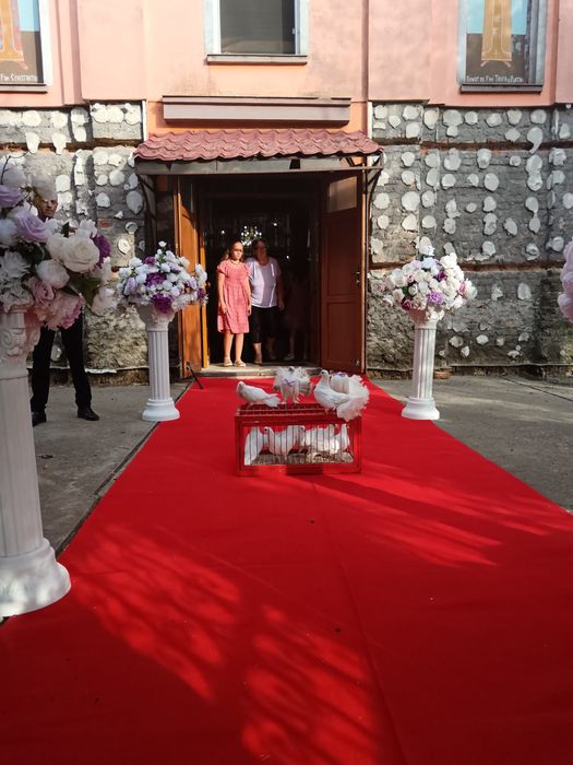 Porumbei albi pentru nunti Timișoara