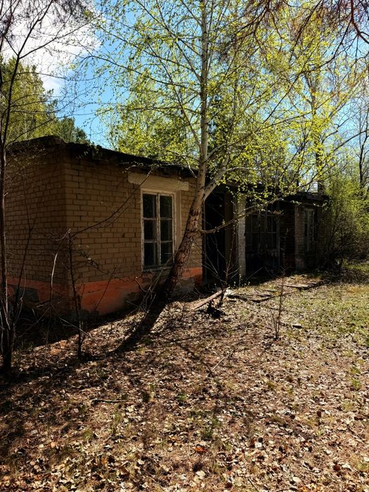 Продам участок 7.5 га в Сосновом бору