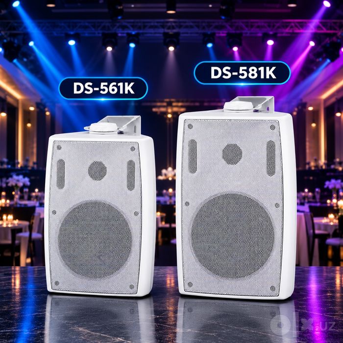 Настенные акустические системы DS-561 и DS-581