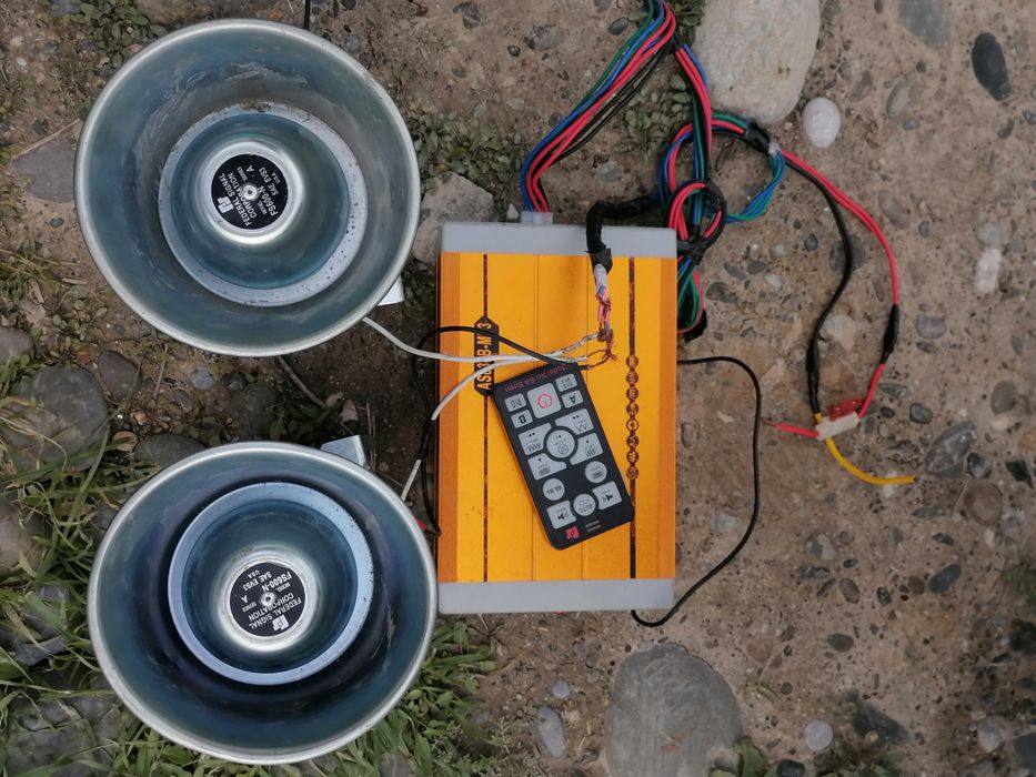 Амереканка сирена