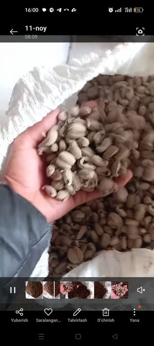 Канакунжут kanakunjut moykana bor