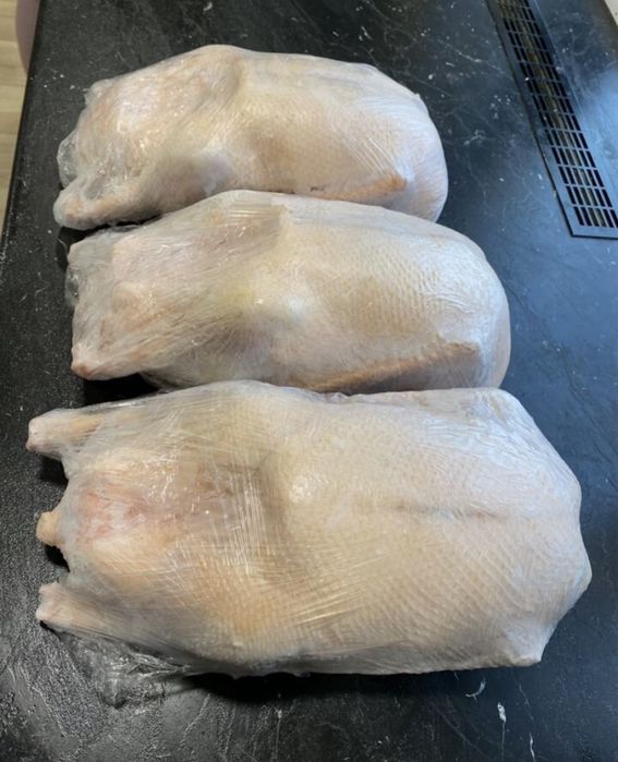 Куры Суповые Домашние