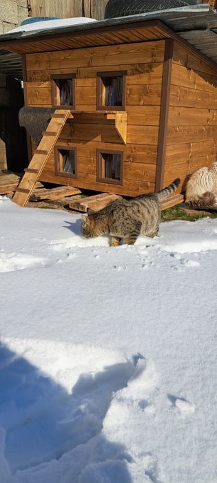 Домик с утеплением для кошек