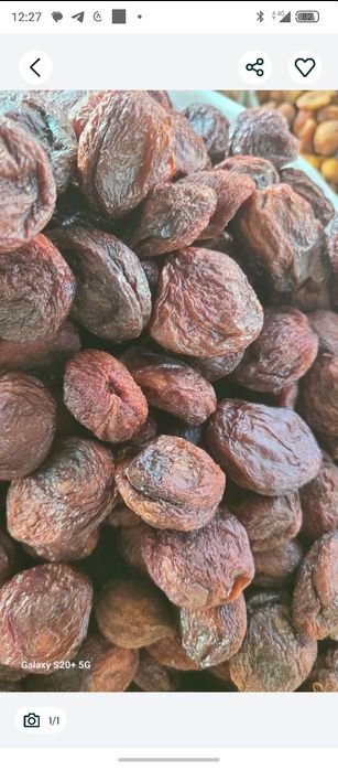 Ширин у́рикдан ТУРШАК. Дориланмаган табиий куритилган