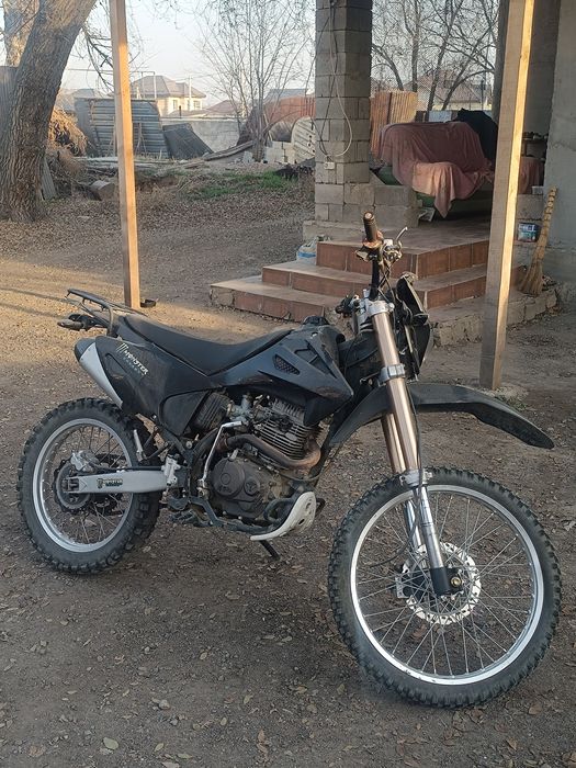 Эндурик fmz 06 250