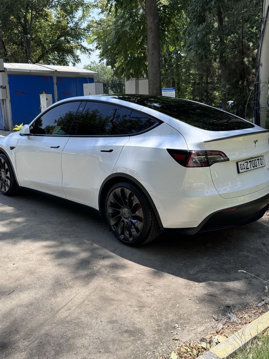 Tesla Model Y performance
