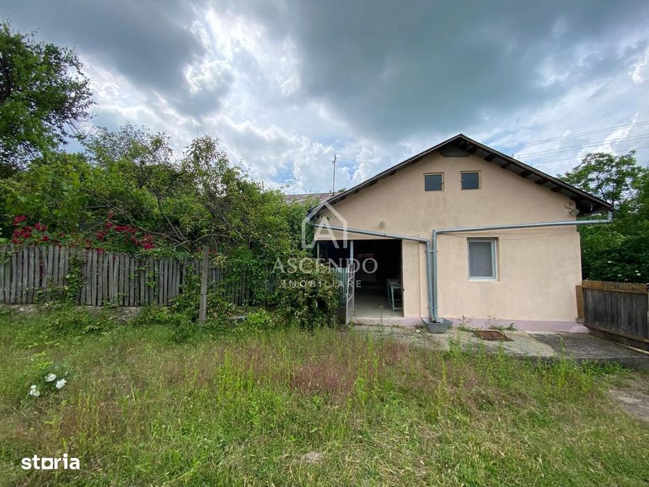 Domeniu 15.900 mp în Fințești | Casă + Investiție Dealu Mare