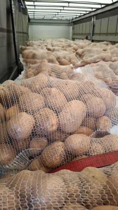 Vânzare direct Franța