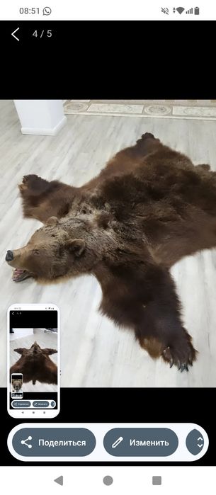 Ковёр с медвежьей шкуры