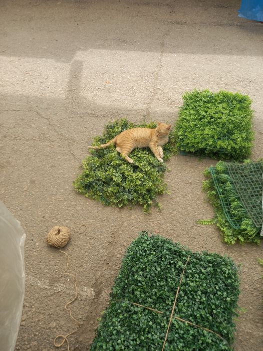 Искственые деревья