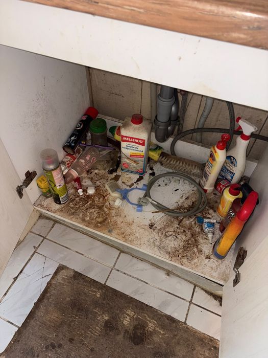 Servicii de Curatenie NikoCleanProfesional