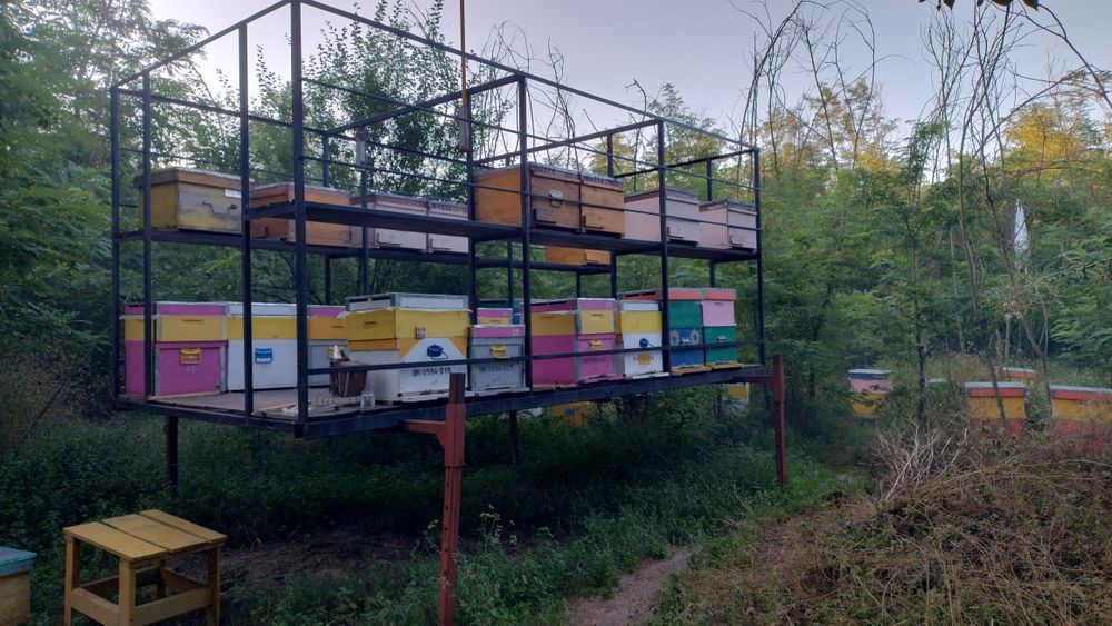 Vand / schimb două module apicole