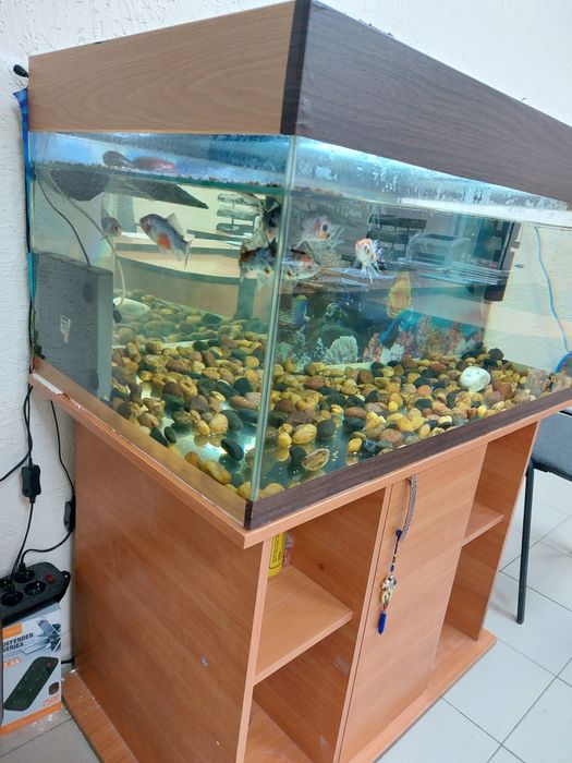 Продам аквариум на 300 литров