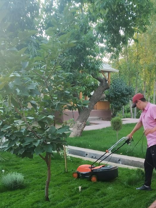 Gazon ekish landshaft dizayni