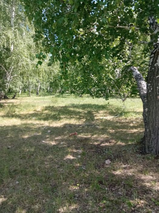 Дачный земельный участок.