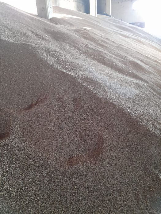 Vând cereale ,preț foarte bun