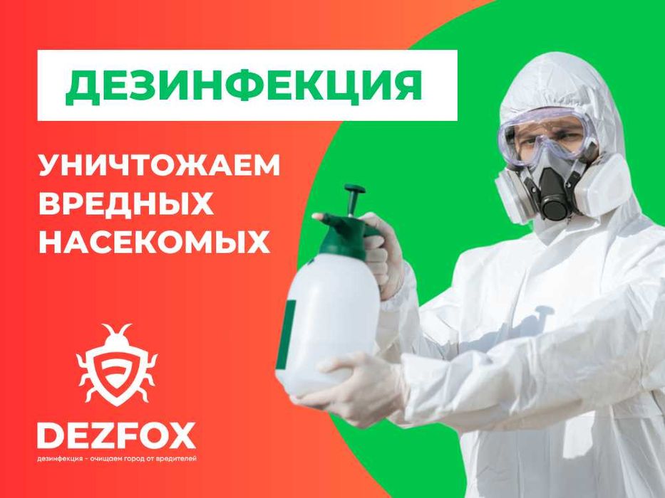 Травить Клопов в квартире Клещи Блохи Тараканы Дезинфекция Без Запахов ...