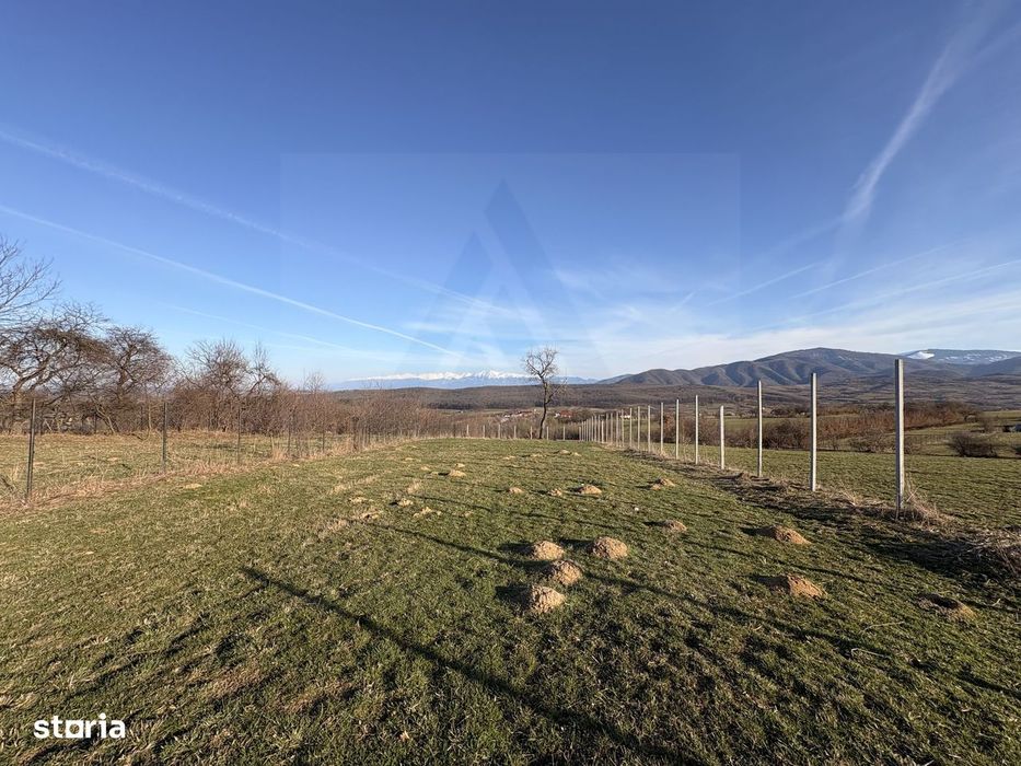 Teren intravilan 809 mp Tropinii Noi lângă pădurea Dumbrava
