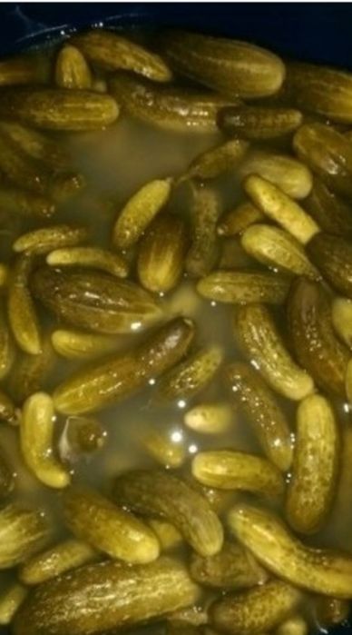 Castraveți murați angro