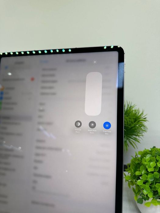 iPad Pro 12.9-дюйм 6-gen 256 gb