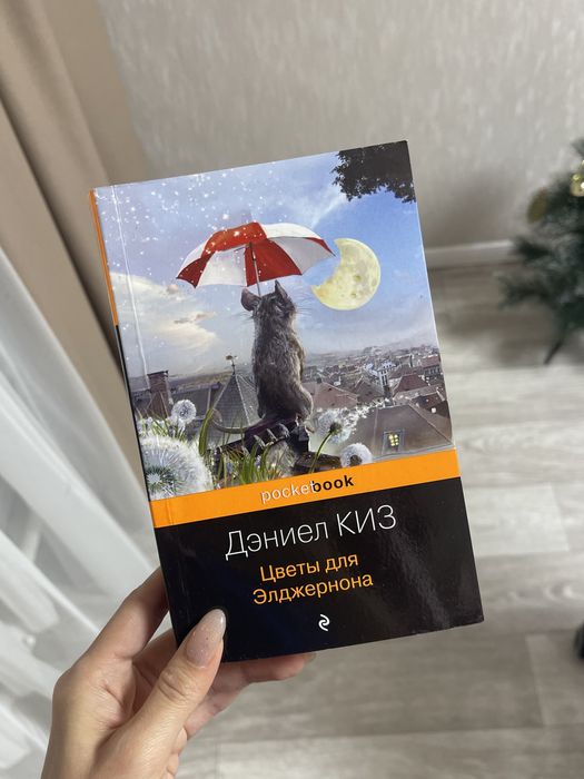 Книги, цветы для элджернона, куриный будьон