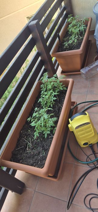 Jardiniera Giunone, culoare teracota, cu farfurie, 108 l, 100 x 45 x 4