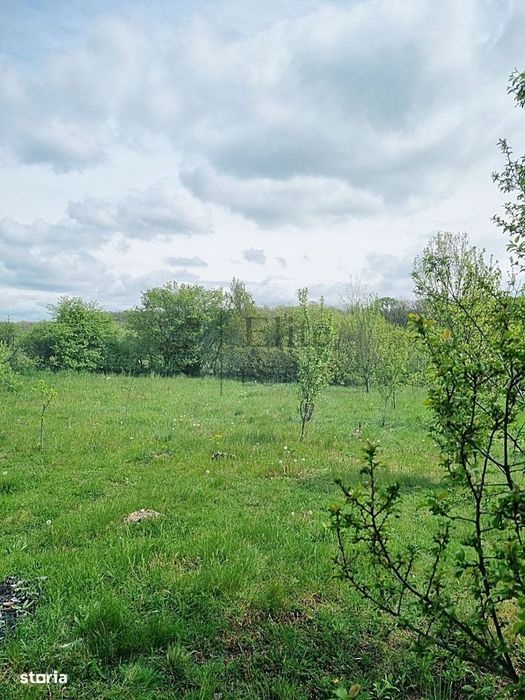 Casa cu teren 1439 mp de vanzare in Gurbediu, Bihor
