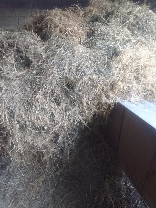 Продам сено клевер и разнотравие