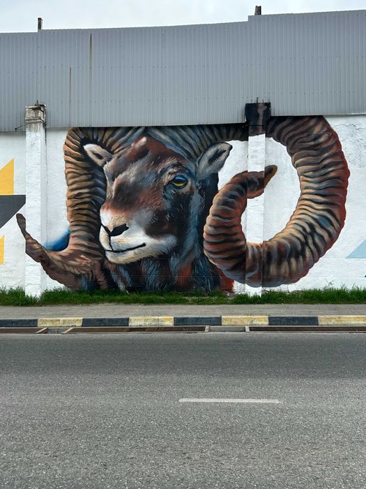 Профессиональная роспись стен | Граффити | Стритарт | Художник | Мурал