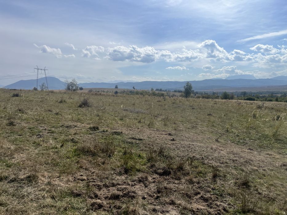 Vand sau schimb !Teren in polilnica (vladeni brasov