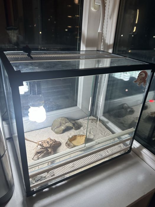 Террариум для геккона