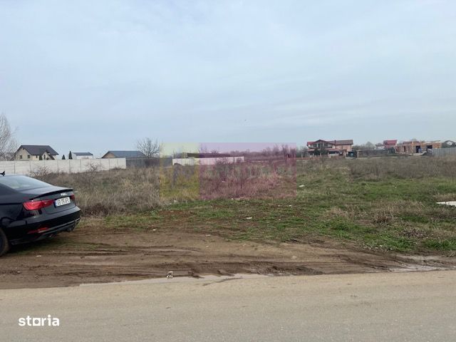 Teren Domnesti- Drumul Targului.