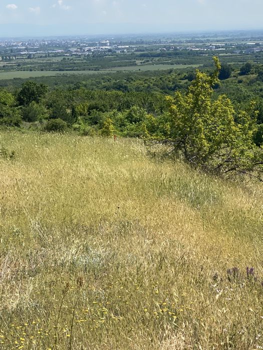 Земеделска земя Белащица/Марково