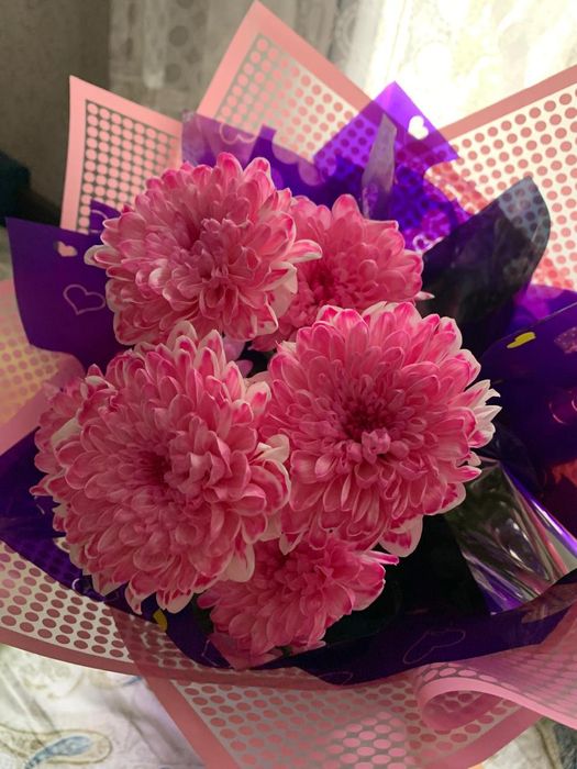 2 цветы Красивые