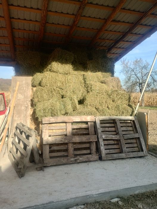 Baloți de lucernă cu fân